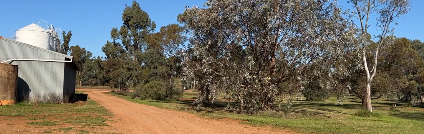 Shed and red dirt road on the McCarten family's rural property
